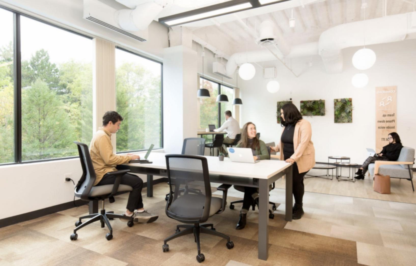 Participants en train de développer leurs compétences en link building